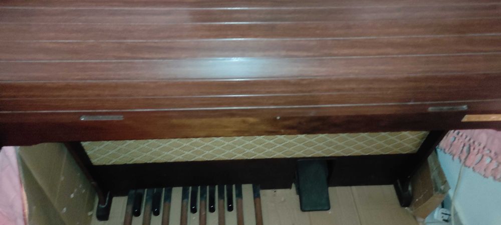 Órgão Elka 20 raro/antiquíssimo