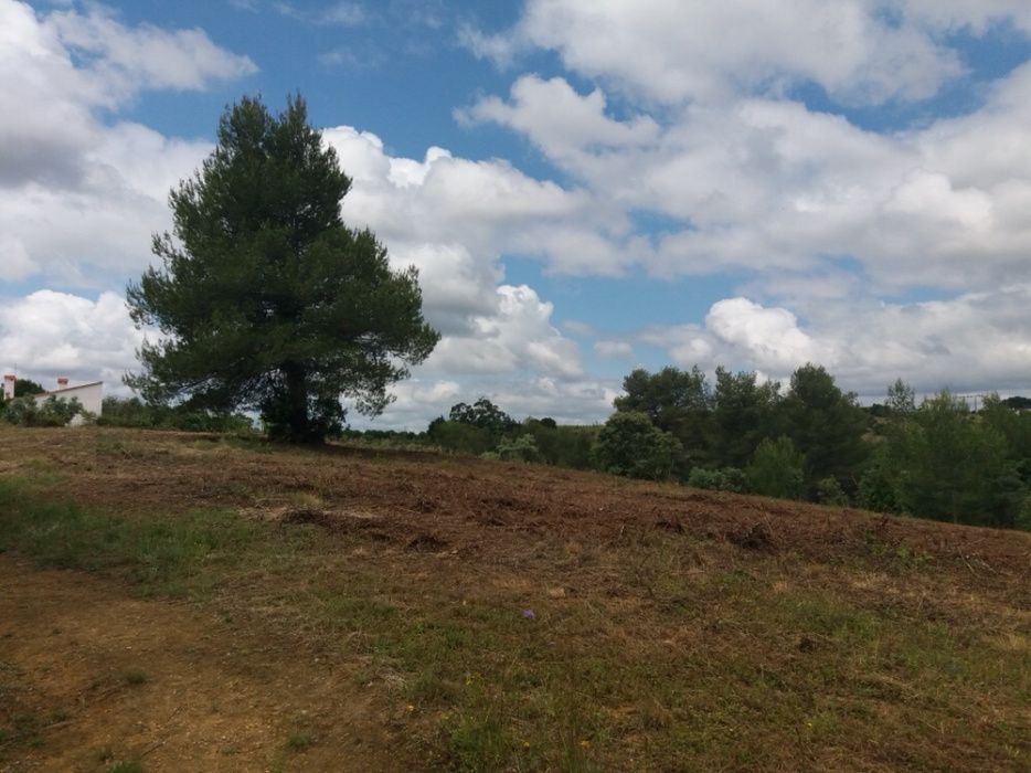 Vende -se Terreno Rústico em Romeira