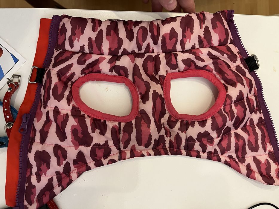 Zestaw dla szczeniaka