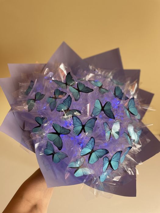 Bukiet motyli z podświetleniem
