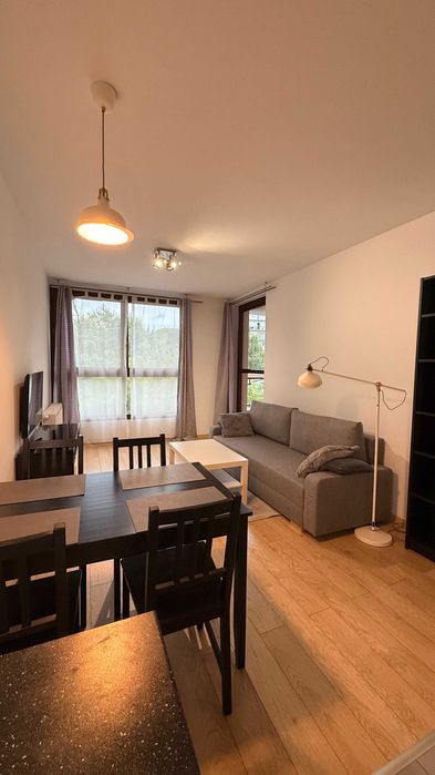 Apartment in Kraków, Grzegórzki - Widok 3