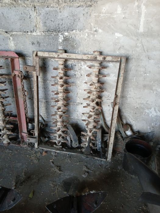 Kolczatka do  pługa