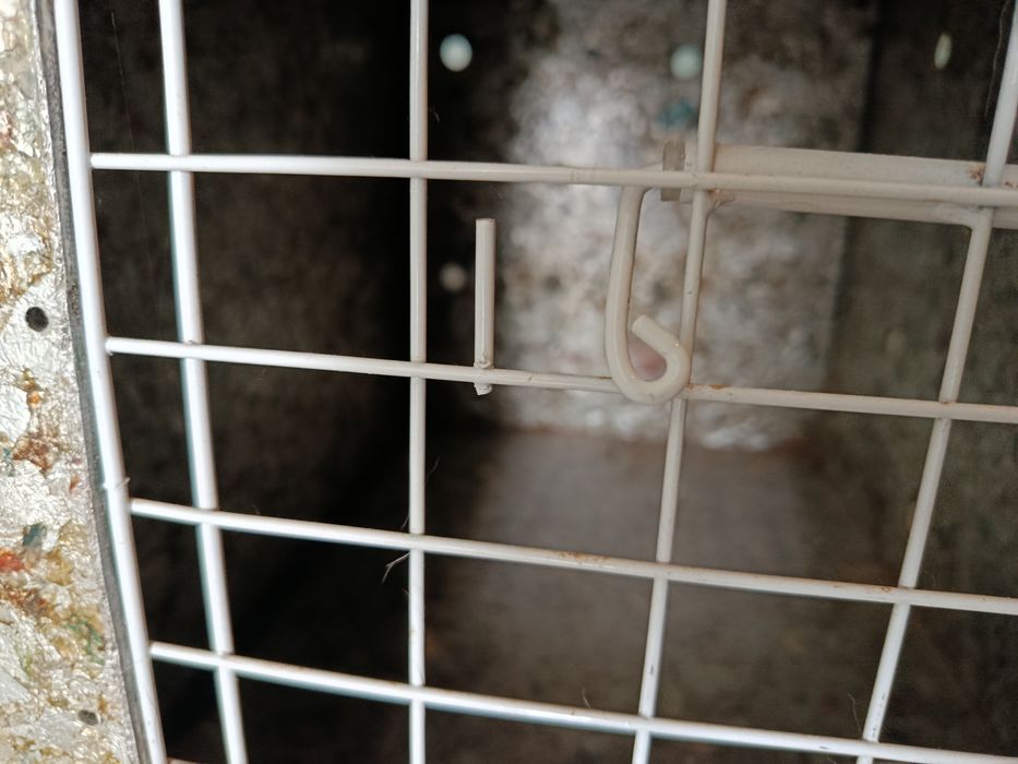 Transportadora de animais