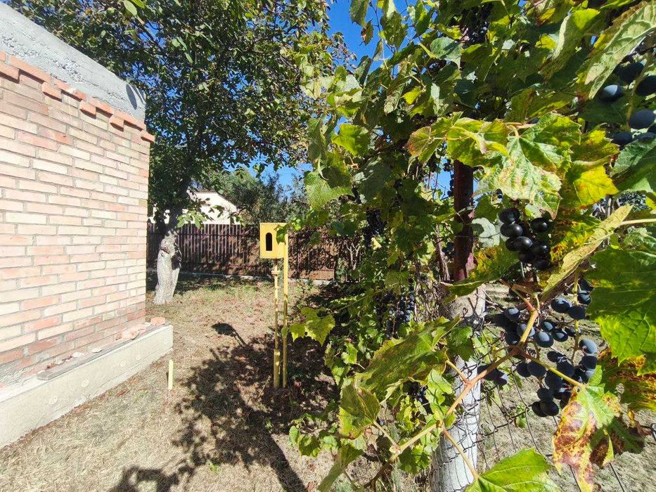 Акція! Земельна ділянка в СТ «Садко», с. Андріївка, Бучанський р-н