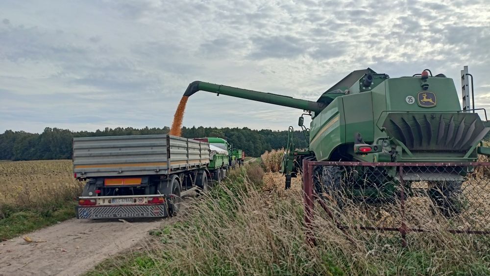 Auto laweta Usługi transportowe wapno luzem