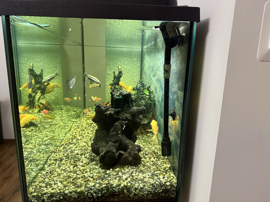 Akwarium 450L  cały zestaw