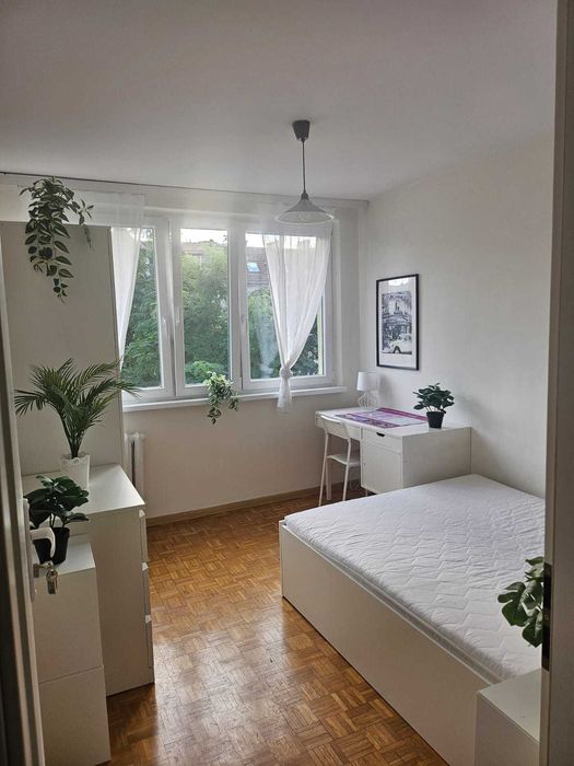 Komfortowy Pokój blisko Rynku [Wrocław]