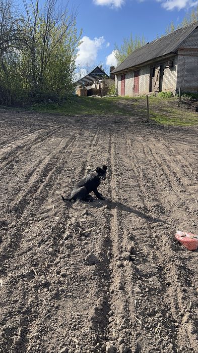 Відам у добі руки