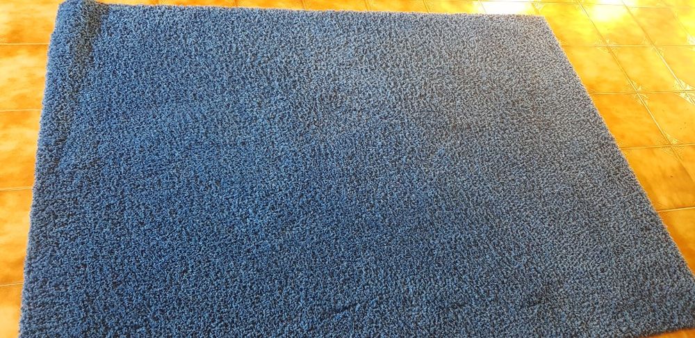 Carpete azul vivo