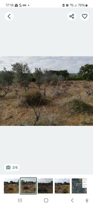 Terreno rústico 3.760m2  (Vinha e Oliveiras)