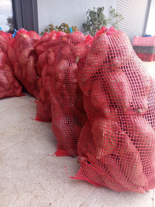 Batatas doce 1,20€/kg