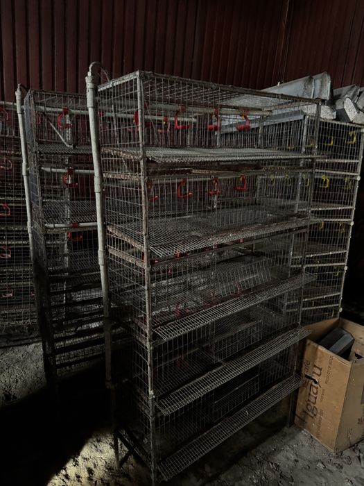 Продам клетки для перепелов