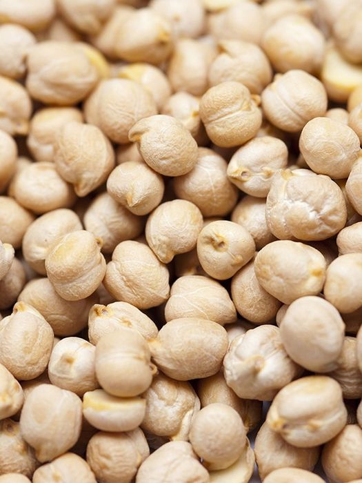 Нут (хумус) звичайний