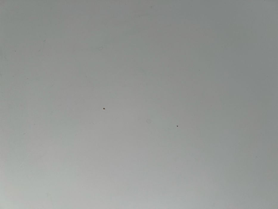 Szafka rtv nordby biały skandynawski