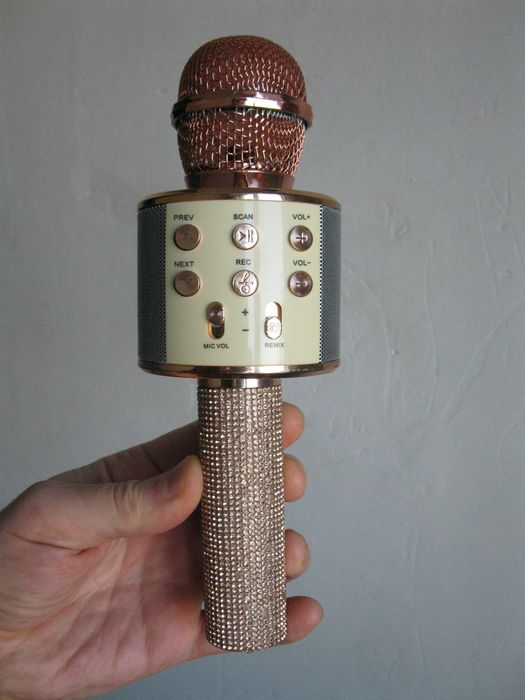 Микрофон беспроводной караоке с динамиком Wster WS 858