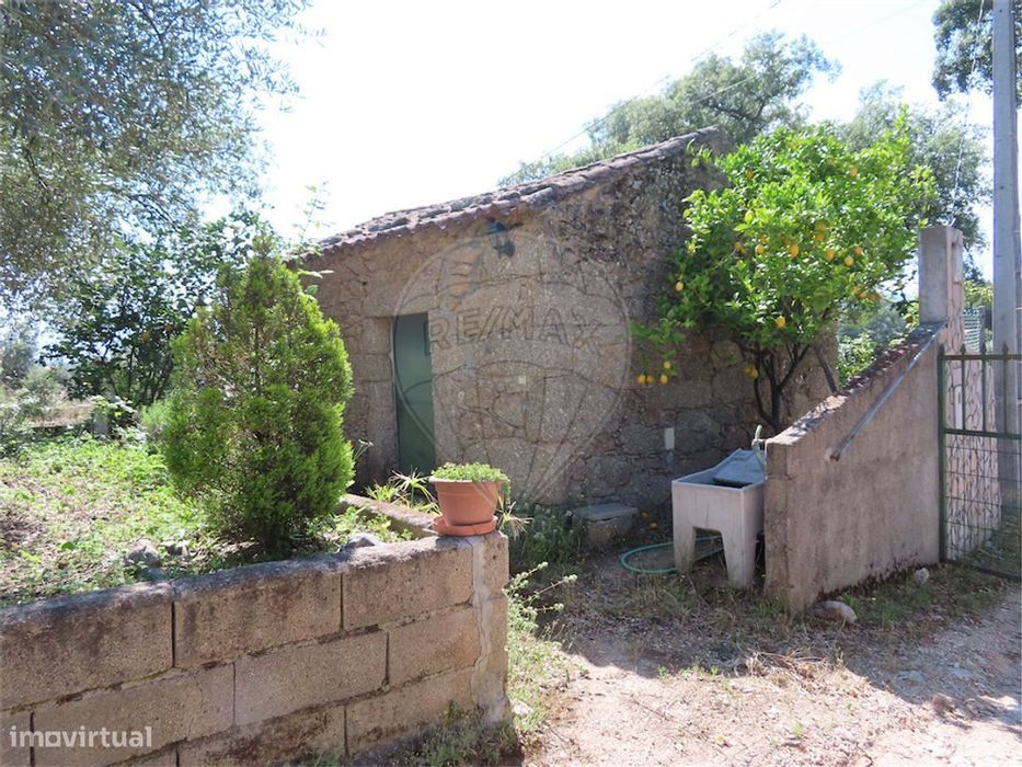 Quinta  para venda — Vale De Prazeres E Mata Da Rainha, Castelo Branco