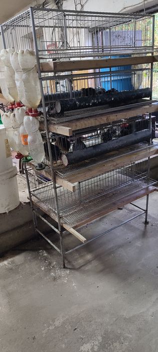 Klatki dla przepiórek,  poidełka, karmniki