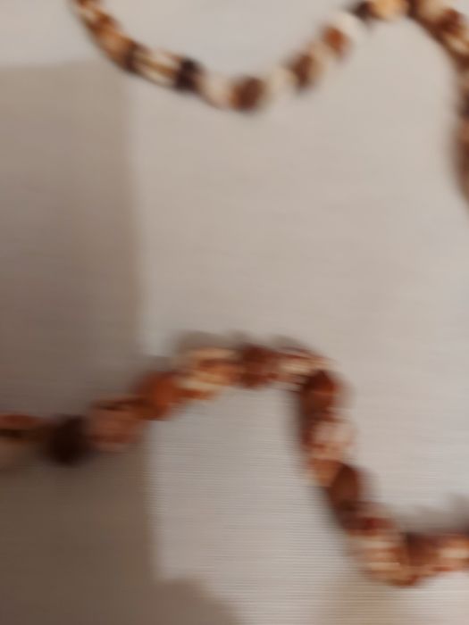 Colar Artesanal de Búzios e contas de Madeira.
