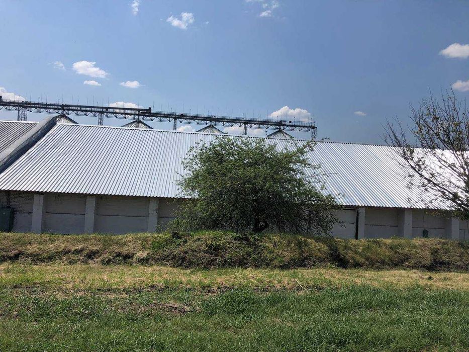 Кровля / Покрівельні роботи/Кровельные работы / Ремонт крыши (даху) №1