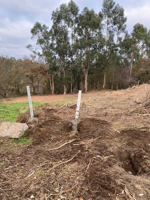 Terreno 10.000 m/2 com mina de água permanente / 10,000 m² (1 ha) plot of land with a permanent water spring