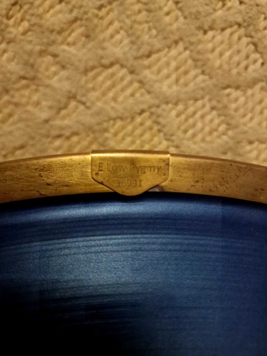 RAV Vast E Low Pygmy Indigo