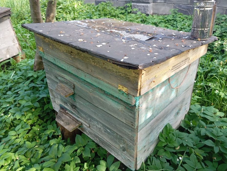 Продам вулики дадан