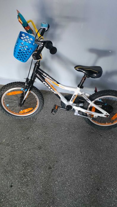 Rowerek Giant Animator 16