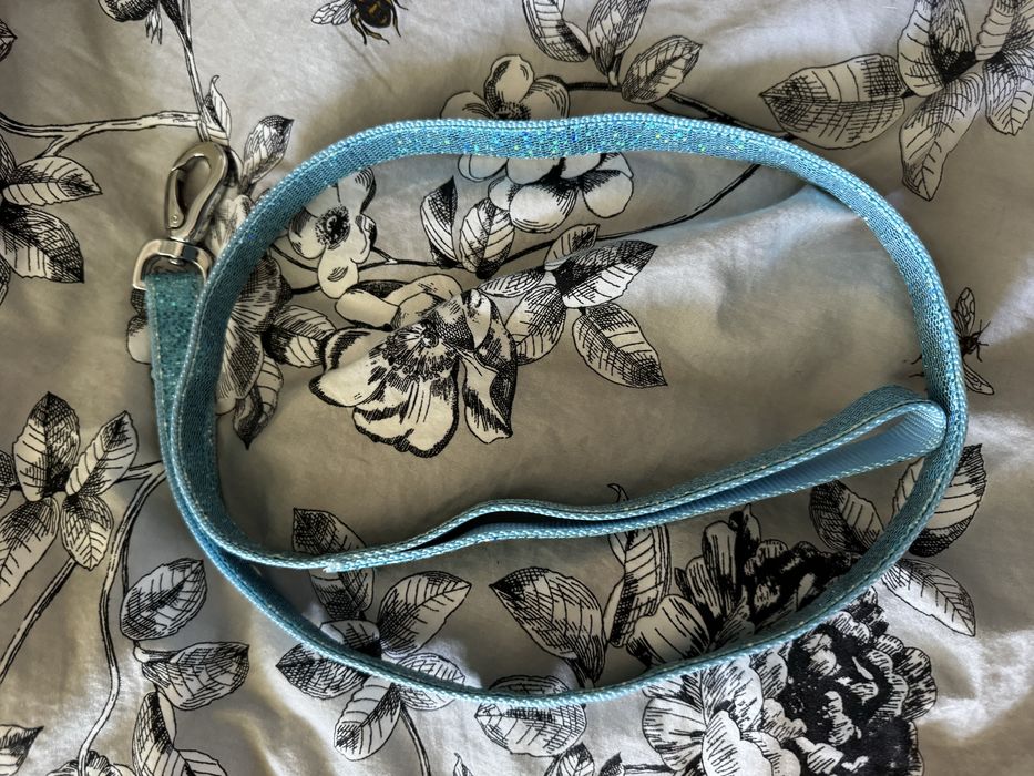 Поводок и ошейник