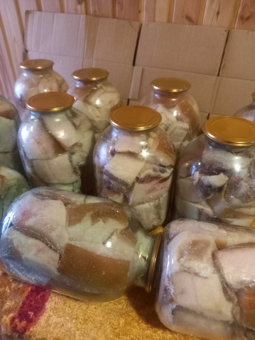 Продам домашнє найсмачніше сало в 3-х літрових банках