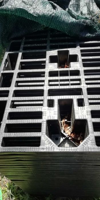 Paletes plástico de encaixe