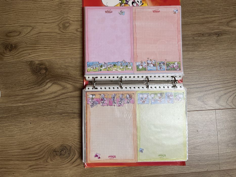 Segregator / karteczki Diddl