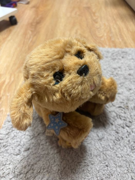 Інтерактивна іграшка собачка Moose Little Live Pets My Dream Puppy