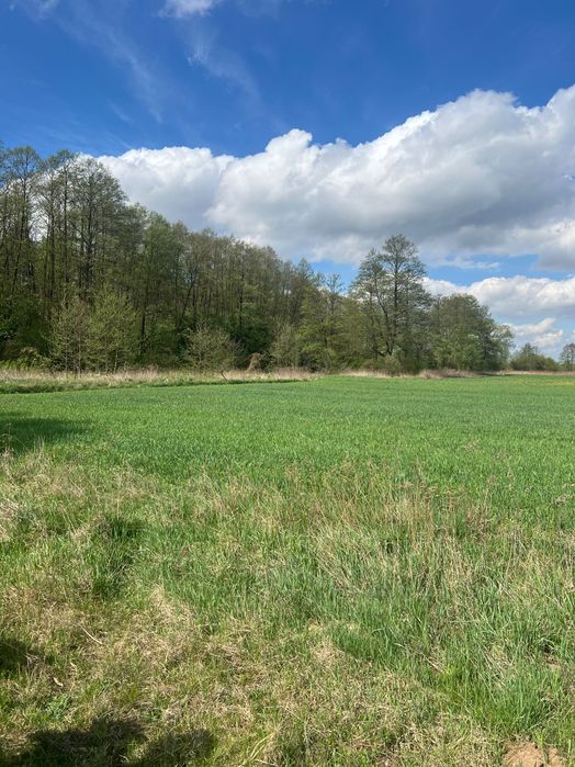 Działka rolno-budowlana 1160 m² – Krubki-Górki