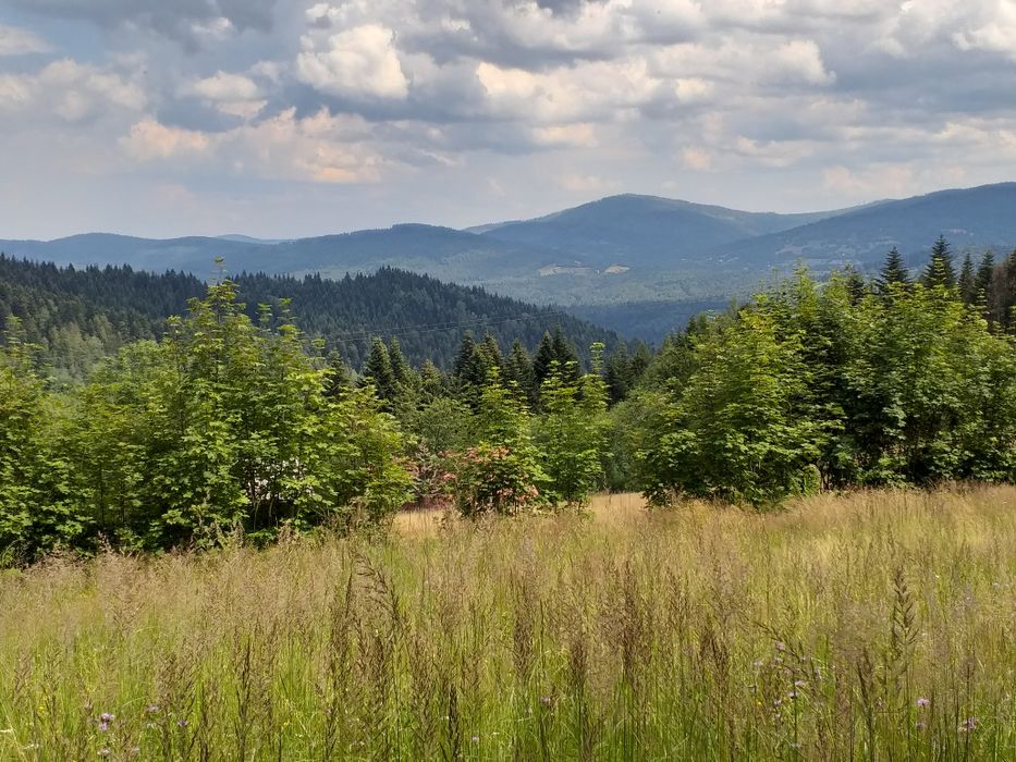 Sprzedam piękną działkę w gorach