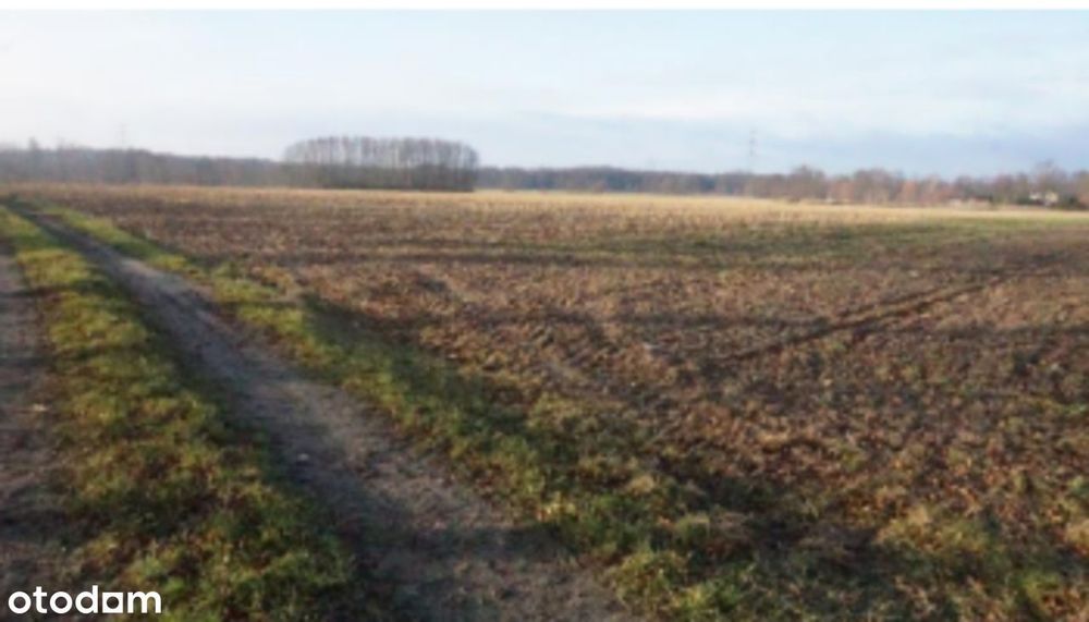 Zarządca sanacyjny sprzeda - działka nr 11, 34, 55/4