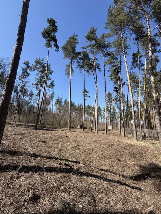 Продаж ділянок КМ Нова Ходосівка 8-10 соток с. Ходосівка Новообухівська траса всі комунікаціі МегаМаркет Alfresco