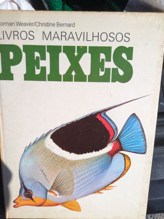 Livros Maravilhosos Peixes de Norman Weaver e Christine Bernard