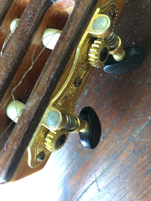 Cavaco Rozini Eletroacústico