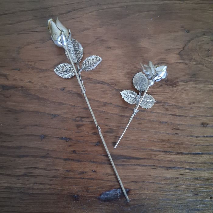 Flores (Rosas) em Prata