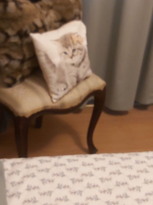 Mobilia de quarto