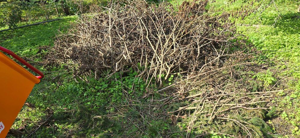 Wynajem rębak spalinowy