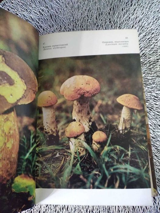 Справочник миколога и грибника "Грибы"