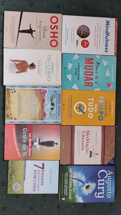 Lote 28 Livros Tema Desenvolvimento Pessoal