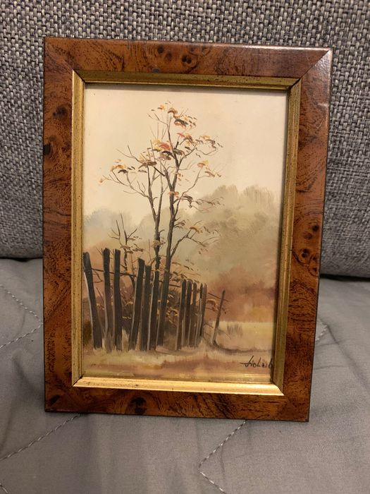 Obrazek Drzewa za płotem