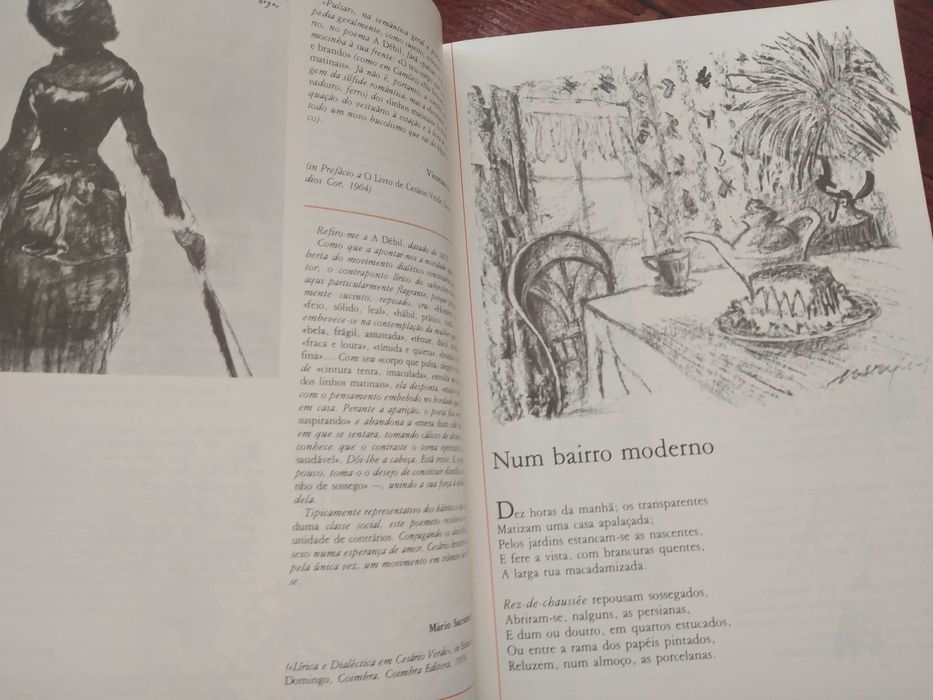 Boletim cultural - Cesário Verde