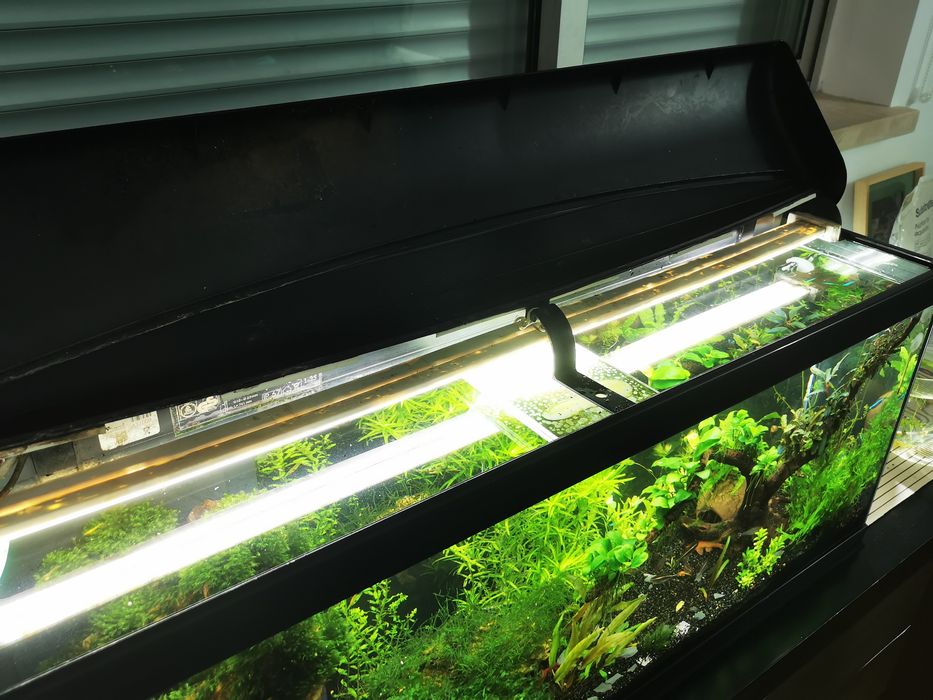 Aquário Aqualantis 120litros