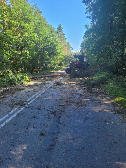 Wycinka Trudnych drzew , karczowanie działek , zrębkowanie gałęzi .