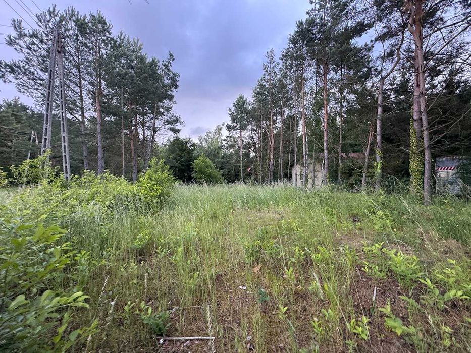 Ławiczno Dwór i Las - Debówiec działka budowlana - View 5