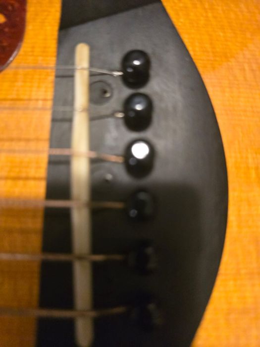 Viola Taylor 214ce‑SB DLX