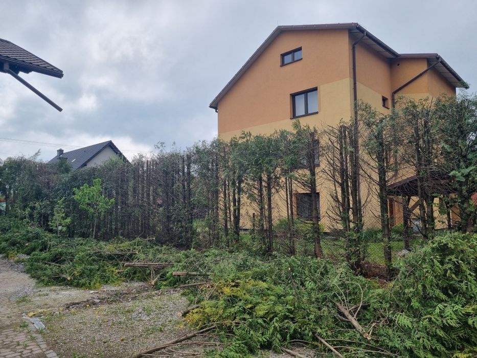 Pielęgnacja ogrodów, koszenie, przycinanie drzewka, koszenie.